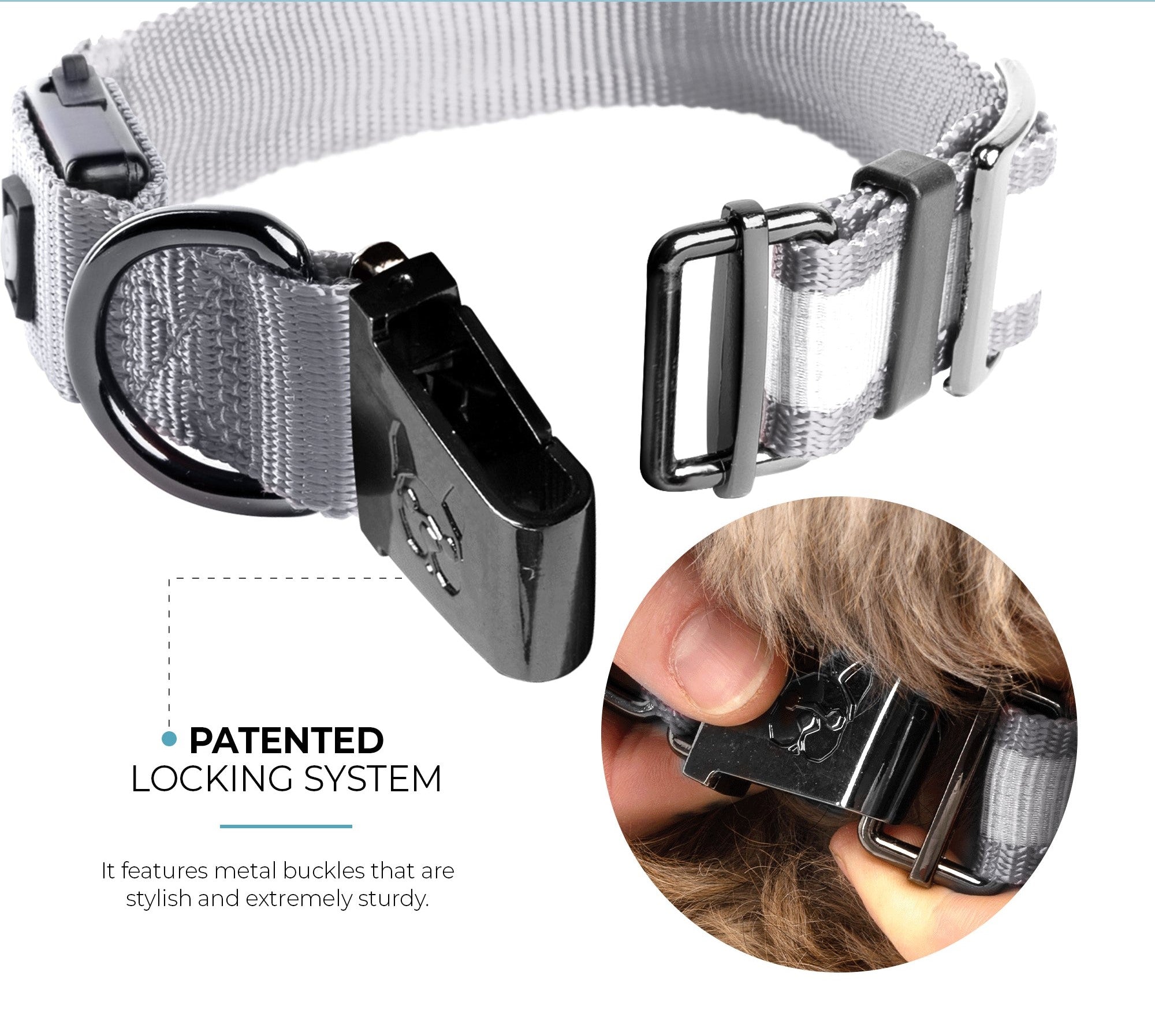 LED Dog Collar - Grey