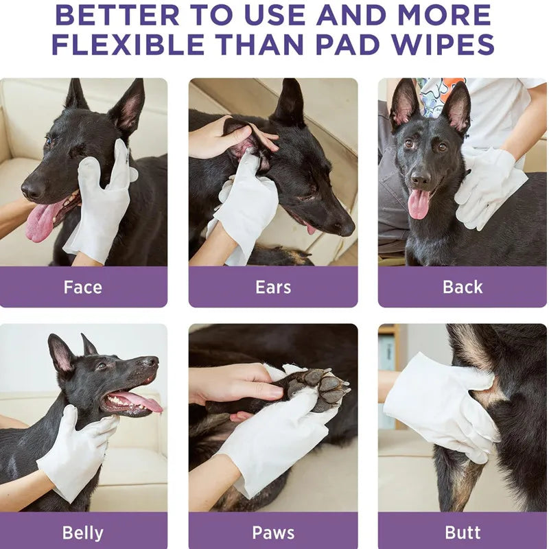 Pet Disposable Wipes Gloves for Dogs and Cats