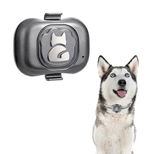 GPS Tracker For Dogs and Locator Waterproof Anti-Lost Device Smart