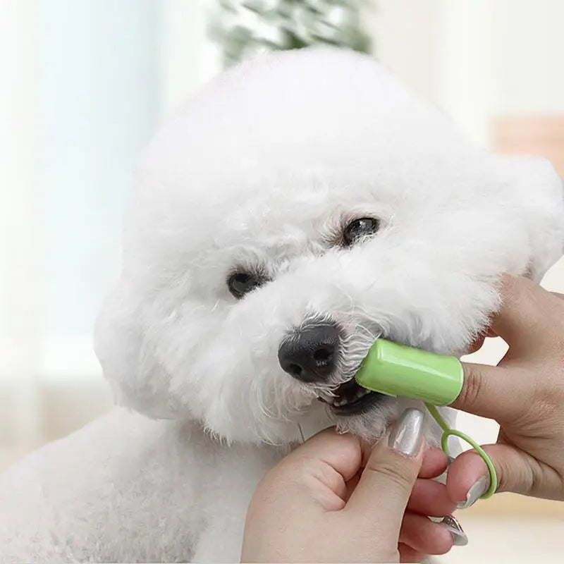 Finger Brush For Pet Teeth Portable Dog Toothbrush For Finger