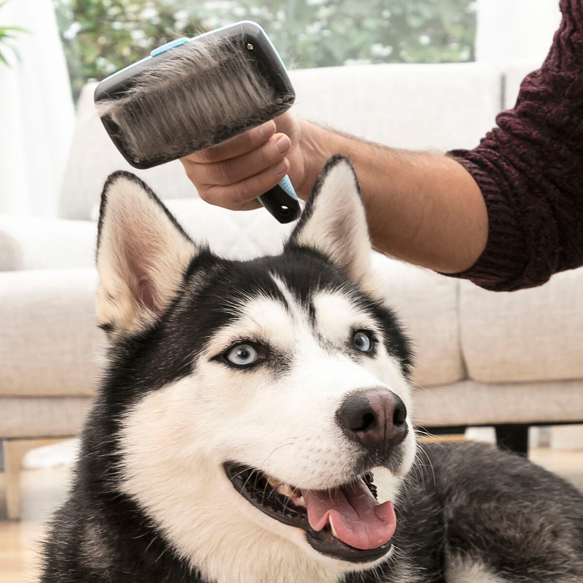 Cleaning Brush for Pets with Retractable Bristles