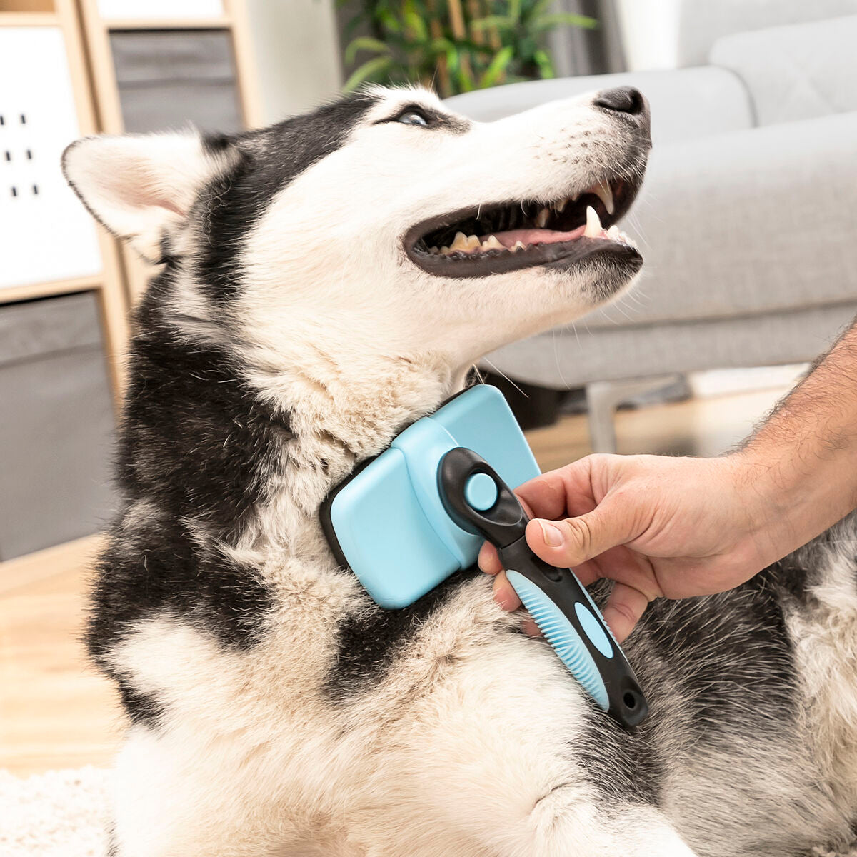 Cleaning Brush for Pets with Retractable Bristles