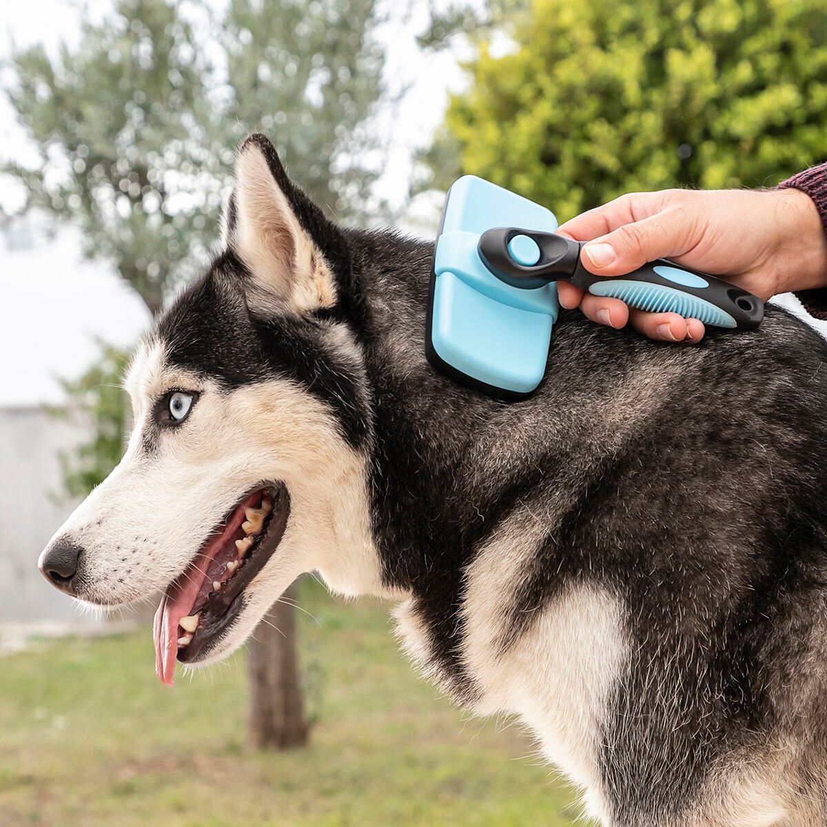 Cleaning Brush for Pets with Retractable Bristles