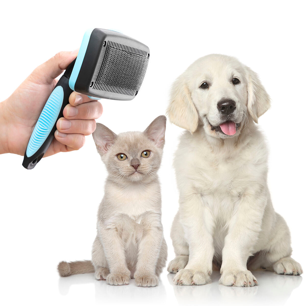 Cleaning Brush for Pets with Retractable Bristles