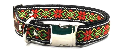 Designer Dog Collar